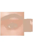 Lens Me Coloured Contact Lenses Daily Brown 2P