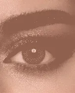 Lens Me Coloured Contact Lenses Daily Gray 2P