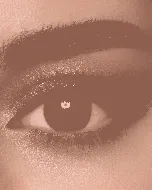 Lens Me Coloured Contact Lenses Daily Drama 2P