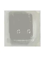 Earring Medical Malaysian Star Colors