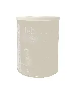 Tebramil Advanced Baby Milk Powder (2) 400 Gm 24 C