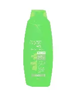 Pert Plus Hair Shampoo Anti Hair Fall 2*1 Ginger 600 Ml