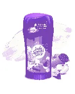 Lady Speed Stick Orchard Blosom 65 Gm