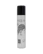 Princess Chamsy Hair Spray Normal Strength Green 300/337 Ml