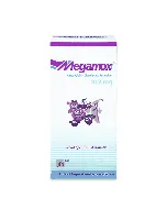 Megamox 312 Syrup 100 Ml