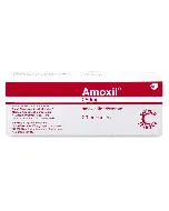 Amoxil 250 Mg Capsule 20P