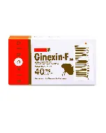 Ginexin-F Tablet 40P