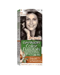 Garnier Hair Dye Color Ashy Light Brown 5.1
