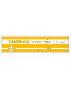 Panderm Ointment 15 Gm