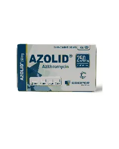 Azolid 250 Mg Tablet 6P