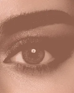 Lens Me Coloured Contact Lenses Daily Gray 2P