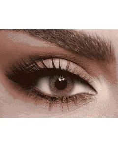 Lens Me Coloured Contact Lenses Daily Tea 2P