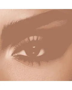 Diva Colourd Contact Lenses Monthly Steel 2P