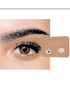Dahab Daily Contact Lenses Argan 10P