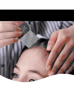 Profesional Lice Comb Long Steel