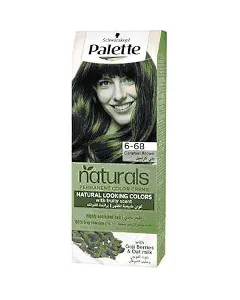 Palette Hair Dye Intensive Color Creme Caramel Brown 6-68