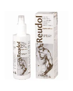 Reudol Spray Rapid Relief 200 Ml