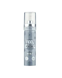 Feel Cool Mouth Spray Mint 200 Puff 1P