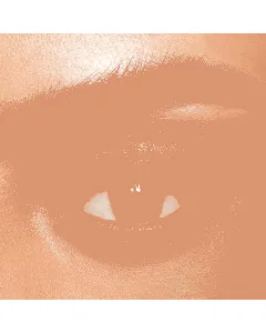 Dahab Daily Contact Lenses Smokey 2P