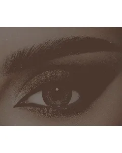 Dahab Daily Contact Lenses Sabrin Gray 2P
