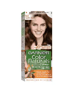 Garnier Hair Dye Color Light Golden Brown 5.3