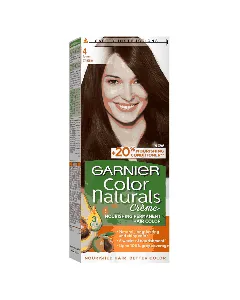 Garnier Hair Dye Color Brown 4