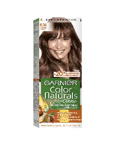 Garnier Hair Dye Color Brown Chocolate 6.34