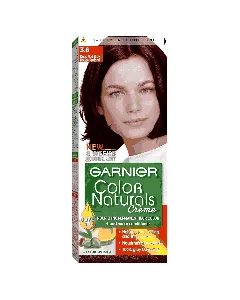 Garnier Hair Dye Color Deep Red Brown 3.6