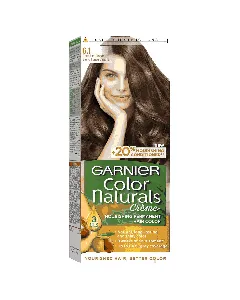 Garnier Hair Dye Color Dark Ashy Blonde 6.1