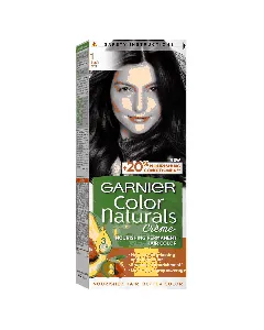 Garnier Hair Dye Color Normal Black 1