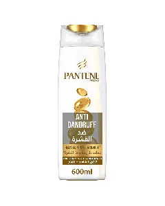 Pantene Hair Shampoo Anti Dandruff 2*1 600/700 Ml