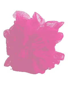 Professional Body Loof Net 4556