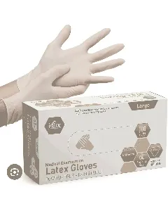 Latex Gloves Powder Free Large Size 100 P