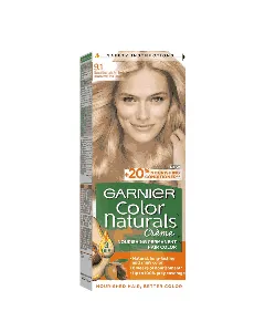 Garnier Hair Dye Color Extra Light Ashy Blonde 9.1
