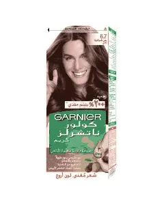 Garnier Hair Dye Color Pure Chocolate Brown 6.7