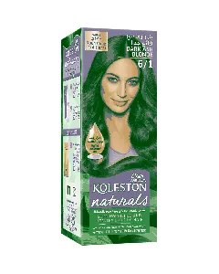 Koleston Hair Color Naturals Lightest Ash Brown 6/1